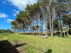 Bungalows Barbeito Natur 3000 apartamentos turísticos en Montalvo-Sanxenxo